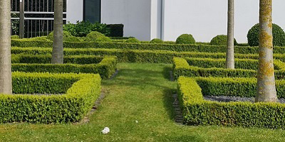 Garten mit Bäumen umgeben von geschnittener Hecke